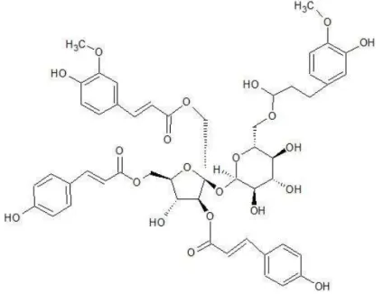 Figure  3.  Chemical  structure  of  lapathoside  A.