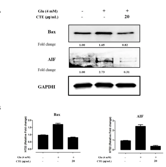 Figure 5. Effect of CTE on glutamate-induced pro-apoptotic relative proteins in HT22  cells.