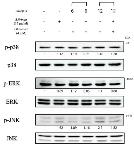 Figure 6. Pretreatment of A. jiringa extract inhibits the phosphorylation activities of 