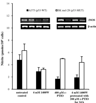 Figure 6.    Cellular nitrite level and iNOS mRNA expression by 4 mM of 1400W or 400 μM of 