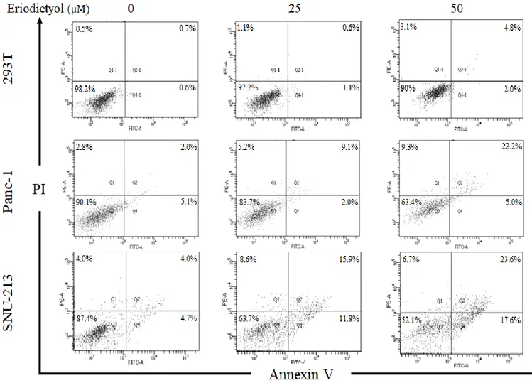 Figure 7. Effects of Eriodictyol on the apoptosis of human pancreatic cancer  cells. Representative flow cytometry dot plots with Annexin V and PI staining