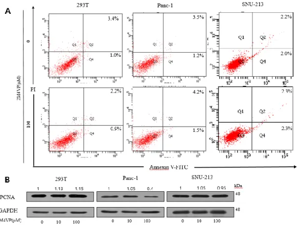 Figure 4. 2M4VP inhibited cell proliferation. (A) Flow cytometry analysis of Panc-1, 