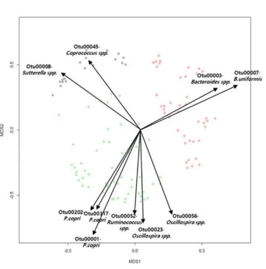 Figure 3. Result of difference by cluster (1week-2week): (A) Bacterial composition analysis at the  genus level (from LEfSe data); and (B) NMDS (OTUs) with top 10 correlated OTUs.