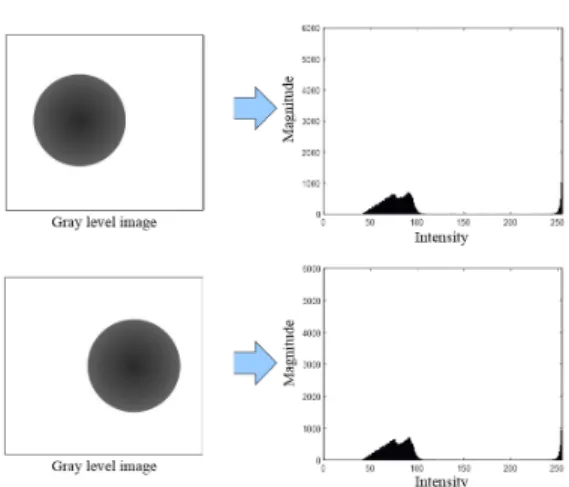Fig. 6 Example of histogram analysis