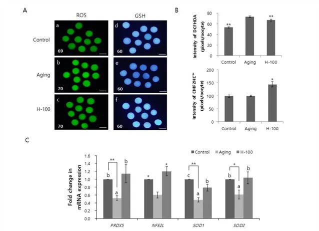 Fig. 1. Effect of hesperetin on the level of oxidative stress in porcine oocytes during aging in vitro