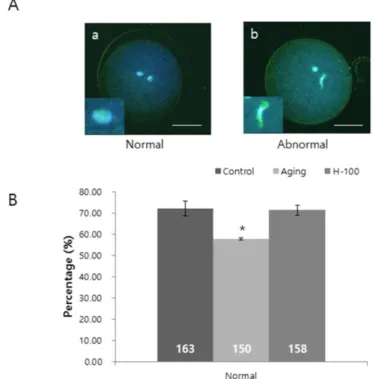 Fig. 2. Effect of hesperetin on spindle morphology in porcine oocytes during aging in vitro