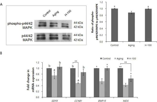 Fig. 3. Effect of hesperetin on MAPK activity and maternal gene expression in porcine oocytes during 