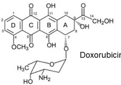 Fig. 1.  Stricture of Doxorubicin.