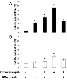 Fig.  7.    Sub-G 1   analysis  on  Doxorubicin-treated  human  colon  cancer  cell 