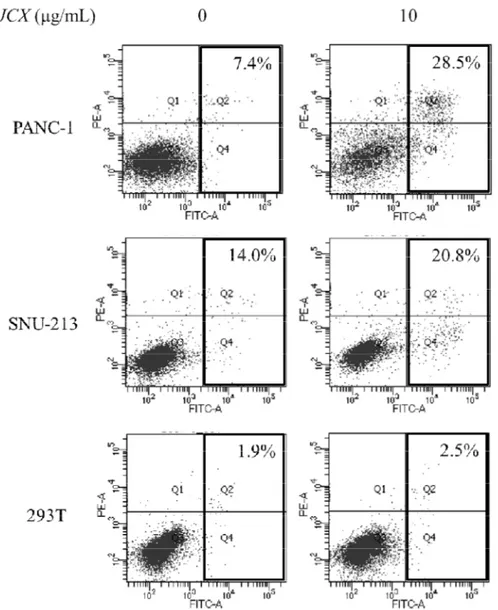 Fig. 6 JCX induced apoptosis PANC-1, SNU-213, and 293T cells were treated with JCX 