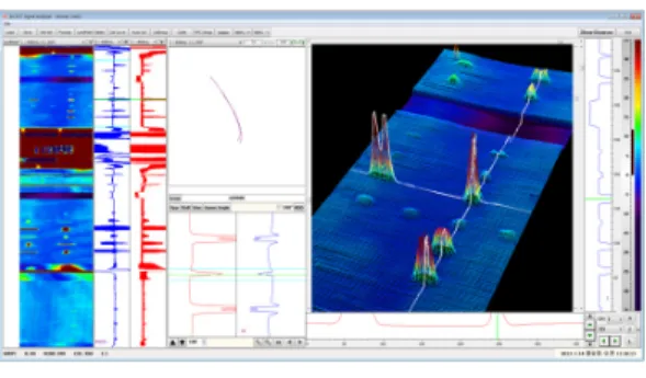 Fig. 4 An example of flaw signals in data analysis  program