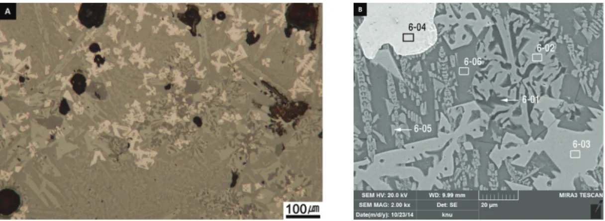 Table  8.  EDS  analysis  results  of  NG-6  slag
