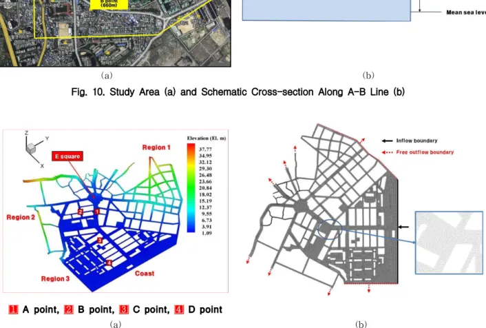Fig. 11. Elevation Distribution of Study Area (a) and Grid System with Boundary Conditions (b)