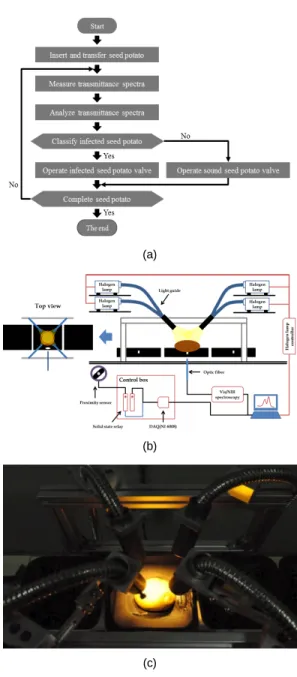 Fig. 3 The developed sorting machine for seed potatoes, (a) flowchart of the sorting machine operation, (b) schematic diagram of the sorting machine operation, (c) nondestructive spectral measurement part