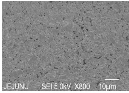 Figure 2.12. SEM Image of sliver nanoparticle ink layer after being cured at 50° for 2 h