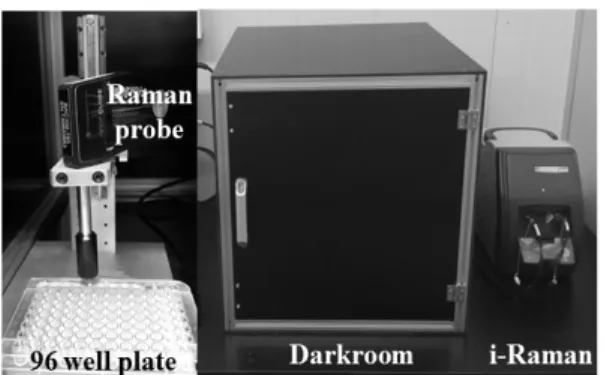 Fig. 1 Raman spectroscopy system and the inside of darkroom 에  의한  노이즈를  차단하기  위해  실험용  암실을  제작하고  암실  내부에서  분말시료의  라만  반사스 펙트럼을  측정하였다 