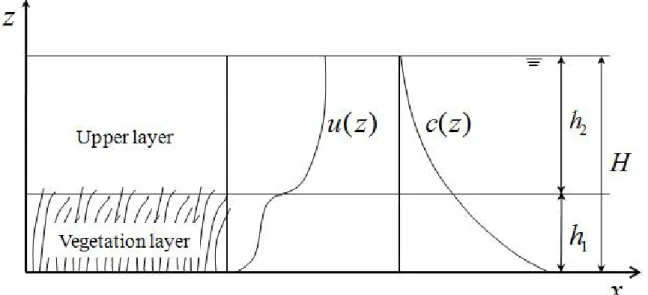 Fig. 1. Schematic Sketch of Velocity and Suspended Sediment Concentration in Open-Channel Flow with Submerged Vegetation