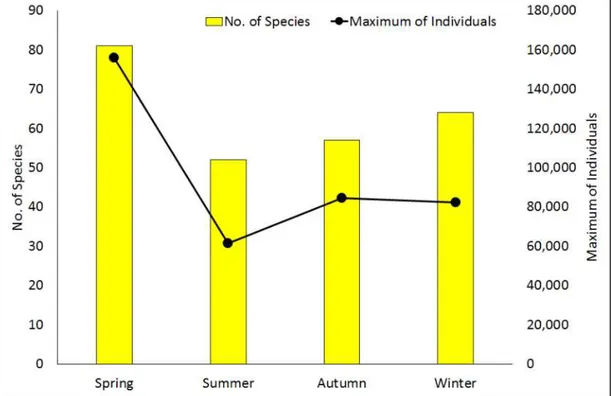 Figure 13. Number of species and counts of waterbirds observed at coastal wetlands of the south-west coasts.