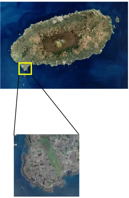Figure  6.  Map  of  the  area  where  the  main  survey  site  located.    (http://daum.net).