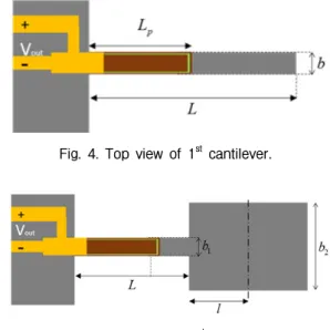 Fig.  4.  Top  view  of  1 st   cantilever.