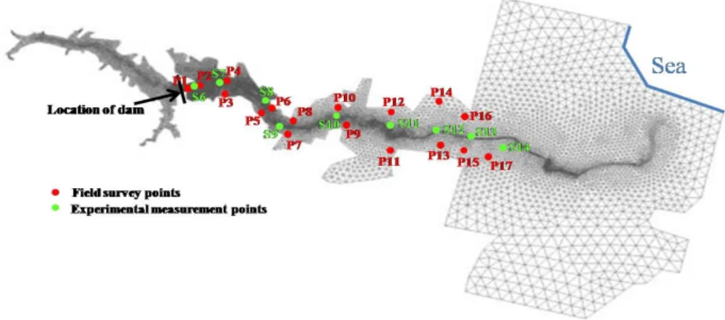 Fig.  12.  Illustration  of  Unstructured  Grid  System,  Field  Survey  and  Experiment  Measurement  Points