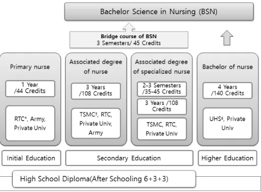 Figure 2. Cambodian Nursing Curriculum