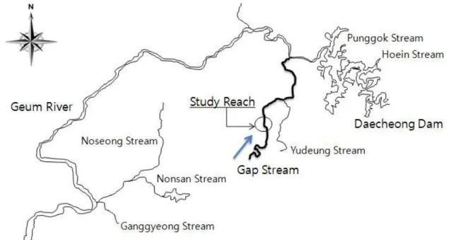 Fig. 2. The Gap Stream화에 따른 반응에서도 웅덩이와 여울에서 각각의 군집이
