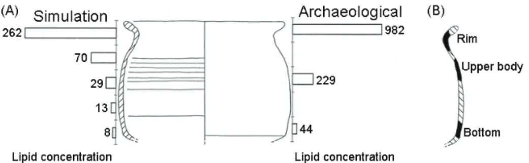 Figure  3.  (A)  The  side  profile  of  pot  showing  the  lipid  concentrations(µg  lipid/g -1   sherd)