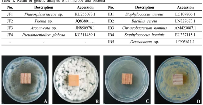 Figure  7.  Result  of  microbe  repellent  activity  of  P.  coreana  (A:  CF1,  B:  JF1,  C:  JB3,  and  D:  JB5)