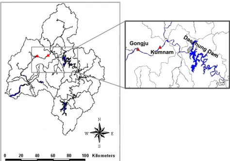Fig. 8. Study Channel in the Geum River Basin