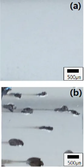 Fig.  4 Surface morphology observed by optical  microscope; (a) before and (b) after corrosion  test