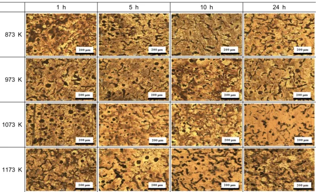 Table 3 Microstructure of CGI340 according to heat treatment temperature and time