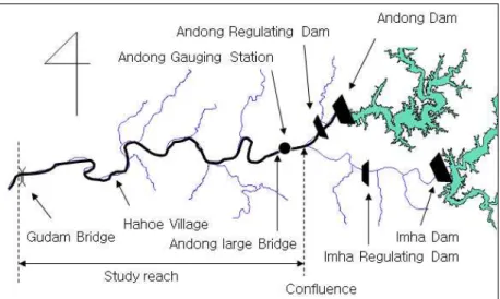 Fig. 1. Map of Study Reach일본에서도 1990년대 중후반 이후 댐이 하류하천 식생
