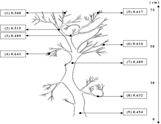 Fig.  15.  15 N  atom  %  in  various  parts  of  satsuma  mandarin  trees  in  relation                      to  sink  strength  of  nitrogen  in  Namwon  ( 15 N-urea  was  applied  on                        Nov