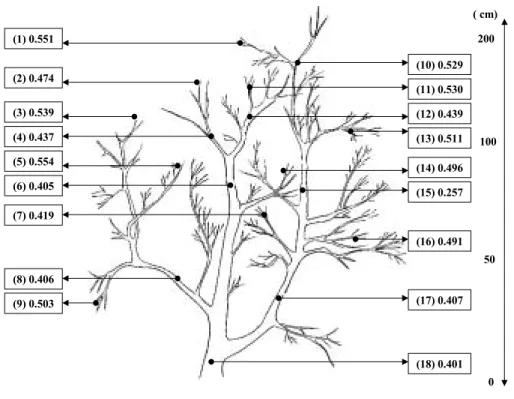 Fig.  17.  15 N  atom  %  in  various  parts  of  satsuma  mandarin  trees  in  relation                        to  sink  strength  of  nitrogen  in  Namwon  ( 15 N-urea  was  applied  June  21,                            1997  and  tree  was  collected  i