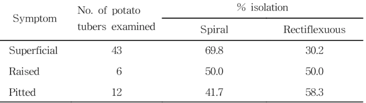 Table  5.  Isolation  frequency  of  sporal  chain  types  of  Streptomyces  spp.                              isolates  from  different  symptoms  of  potato  common  scab