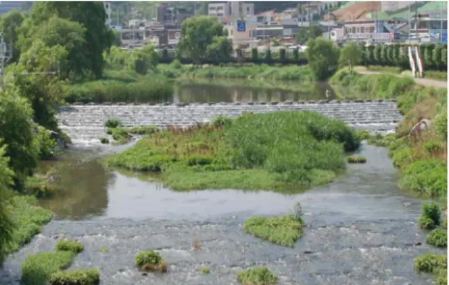 Fig. 1. Stepped Weir in Field