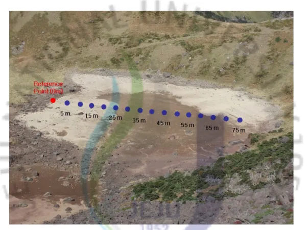 Fig. 3. Sampling sites in the crater lake, Baengnokdam of Mt. Halla. Soil samples were collected at 5 m intervals from 5 m to 75 m in the southwest and northeast side of study area, respectively.