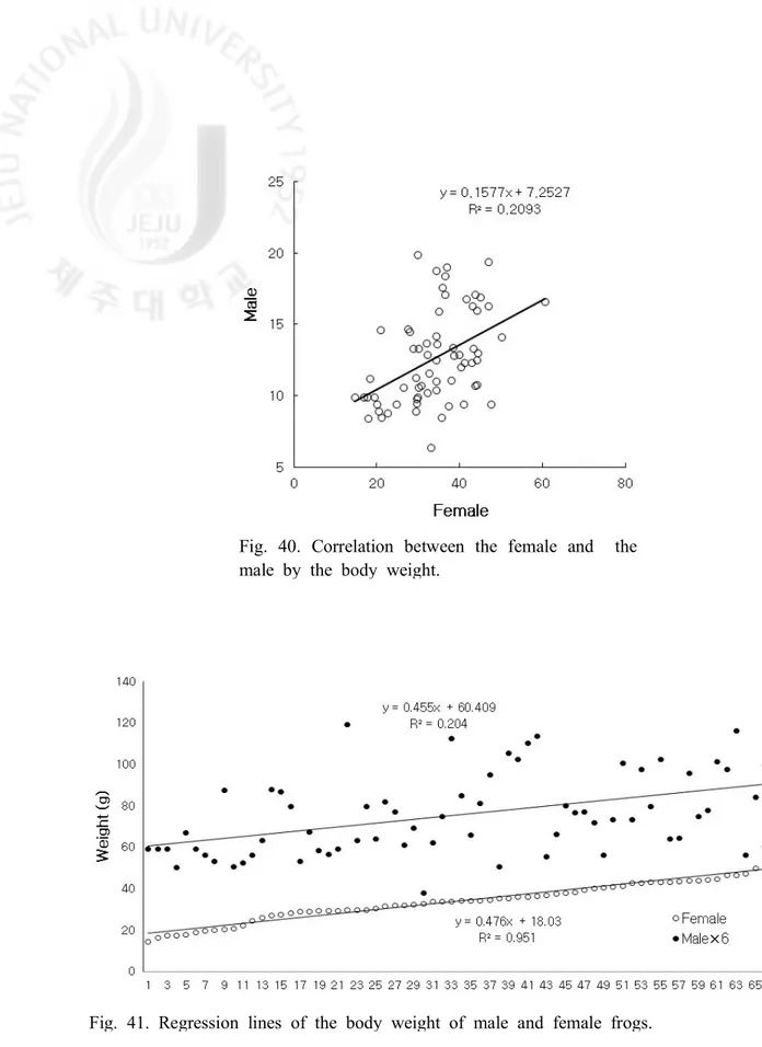 Fig.  40.  Correlation  between  the  female  and    the  male  by  the  body  weight.