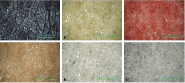 Figure 5. SEM image of samples(× 200, Sized and colored on the surface). (A) Bonram, (B) Gamboge, (C) Yeonji, (D) Daeja, (E) Sized Hanji and (F) Hanji.