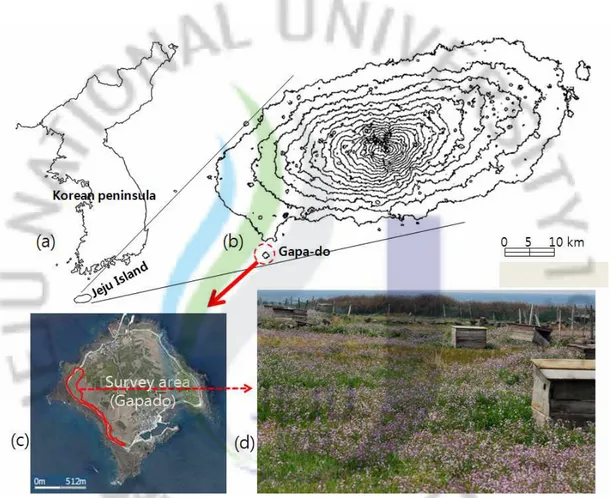Fig. 1. The survey areas of Jeju island and its annex island. (a): Map of Korean peninsula and location of Jeju island from it, (b): Map of Jeju island and location of Gapa-do from it, (c): The section surrounded by solid line is research area of Gapa-do, 