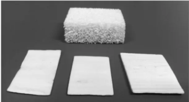 Fig. 1. Photograph of a typical trabecular bone sample and three cortical bone plates with different thickness  used  in  the  present  study.