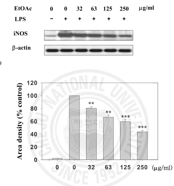 Figure 3. Effect of EtOAc fraction on the iNOS protein expression level in LPS- LPS-stimulated RAW 264.7 cells