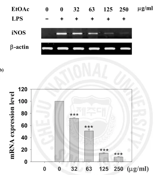 Figure  4. Effect  of EtOAc fraction on the  iNOS mRNA expression  level  in LPS- LPS-stimulated RAW 264.7 cells