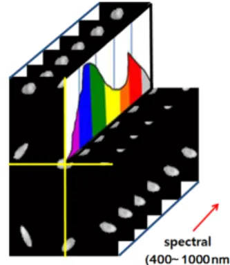 Fig. 3 Photos of (a) a lighting source and (b) the halogen lamp illumination for seed samples