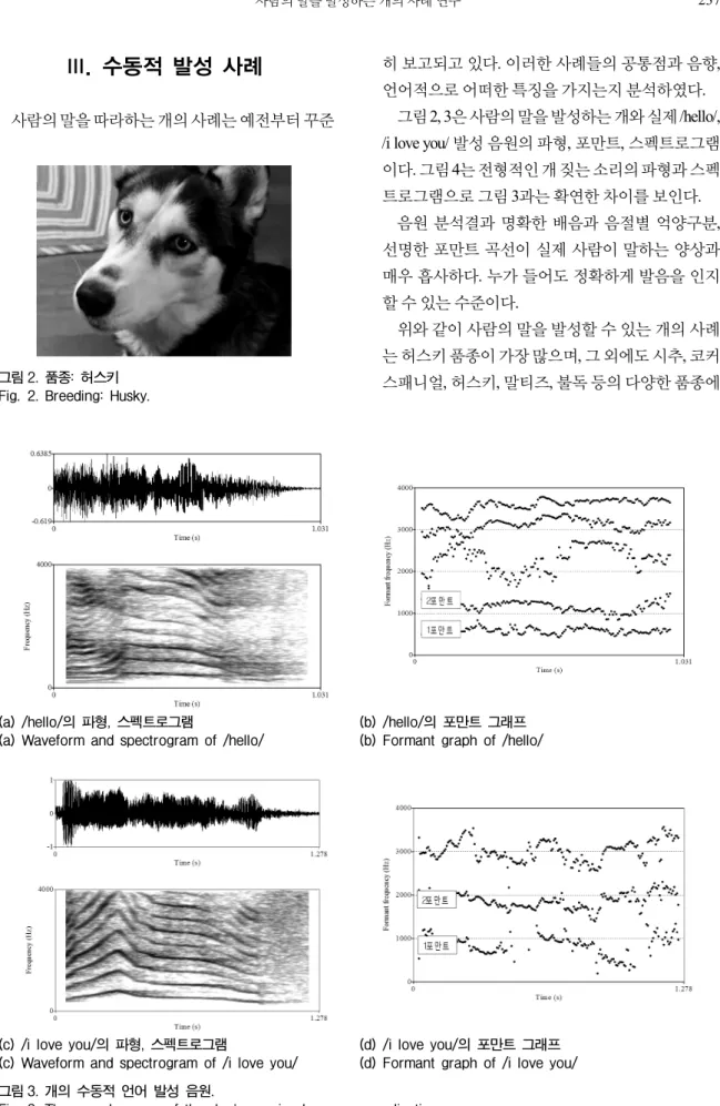 그림 2.  품종:  허스키 Fig. 2.  Breeding:  Husky.