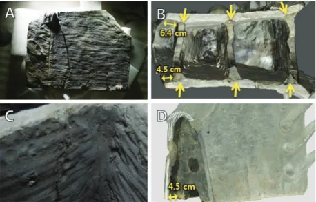 Figure 4. Chimi decorations part. (A) Chimi wing, (B) Pearl rounded motif, (C) “#” Sign, (D) Semicircular and (E) Interior  of Chimi.