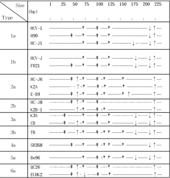 Figure 4. Restriction maps predicted from 5'-UTR for HCV genotyping .The size from position -280 to -44 in the 5'UTR of HCV is 236 bp