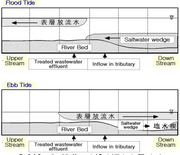 Fig. 6. A Conception of the Movement of Treated Wastewater Effluent and Saltwater Wedge at Investigation Area