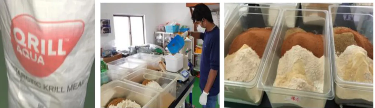 Figure 1. Preparation of six experimental diets.